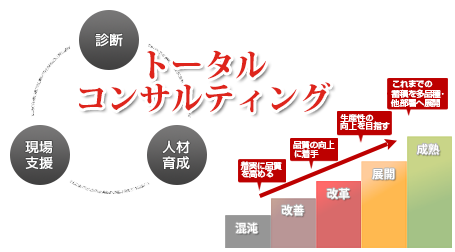 私たちは、お客様の開発力に応じて「診断」「現場支援」「人材育成」という3つの活動からなる総合的なトータルコンサルティングをご提案します