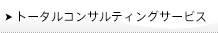 トータルコンサルティングサービス