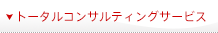 トータルコンサルティングサービス