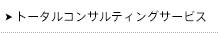 トータルコンサルティングサービス