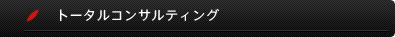 単なるコンサルティングにとどまらない、『診断』『現場支援』『人材育成』の３つの活動からなる総合的な顧客支援サービス｜トータルコンサルティング