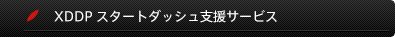 ｢派生開発｣に特化したプロセス『XDDP』の導入スピードを上げるための、「プロジェクト」を対象としたサービス｜「XDDP」スタートダッシュ支援サービス