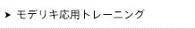モデリキ応用トレーニング・セミナー